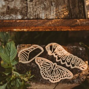 butterfly-lifecycle-eco-cutter-set